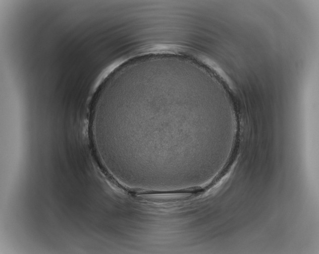 X0000113071066200908281150