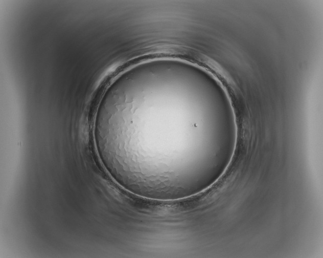 X0000113071067200908281150