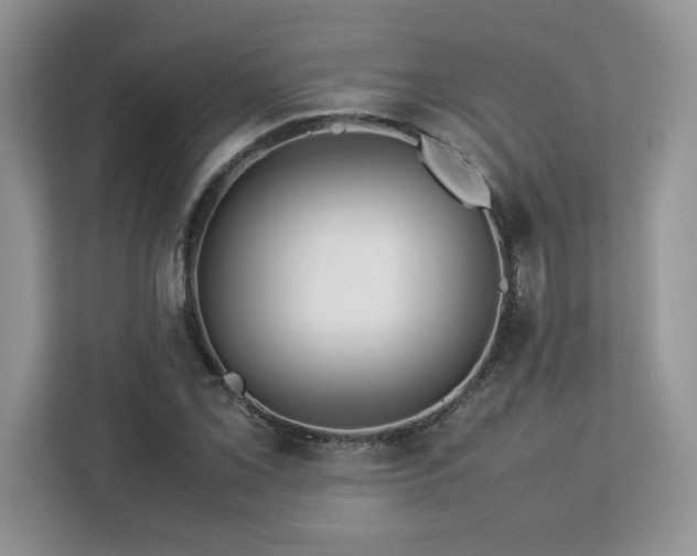 X0000113071069200908281150