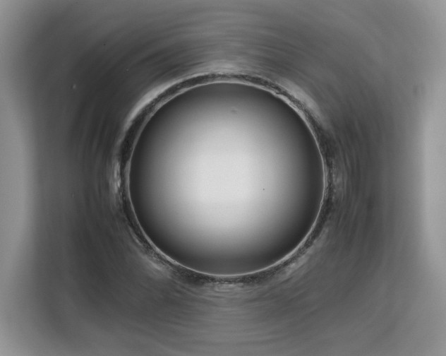 X0000113071070200908281150