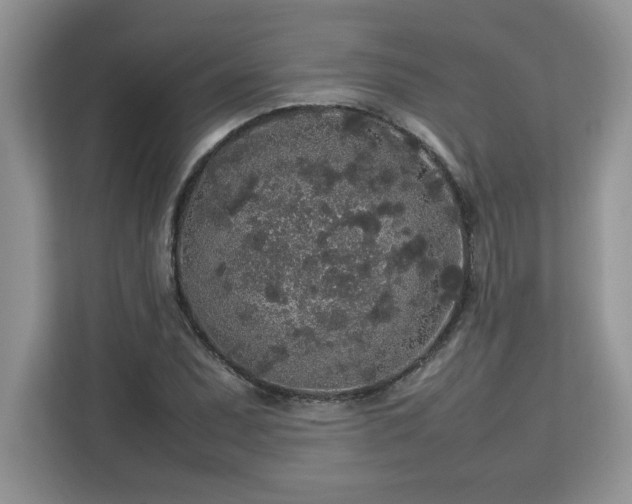 X0000113071071200908281150