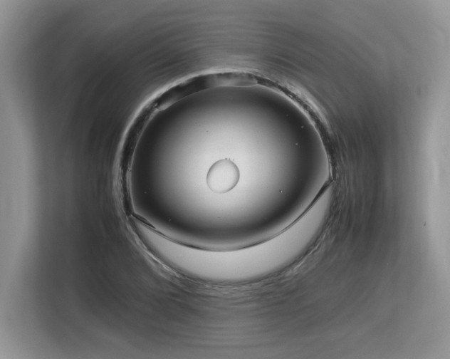 X0000113071072200908281149