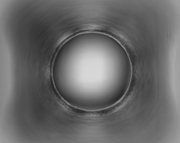 X0000113071073200908281149