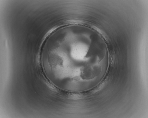 X0000113071074200908281149