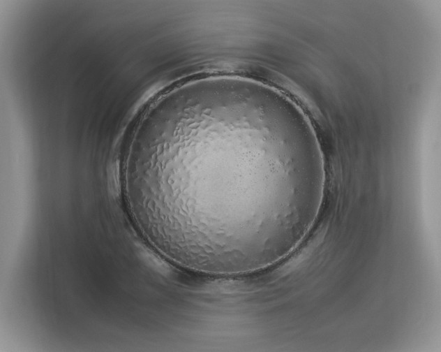 X0000113071075200908281149