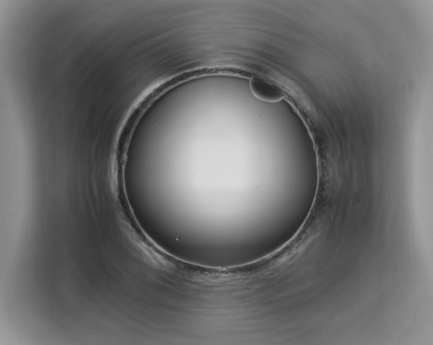 X0000113071076200908281149