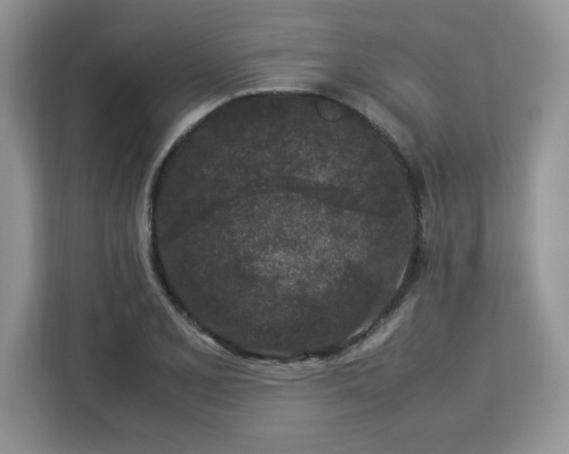 X0000113071077200908281149