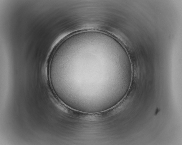 X0000113071078200908281149