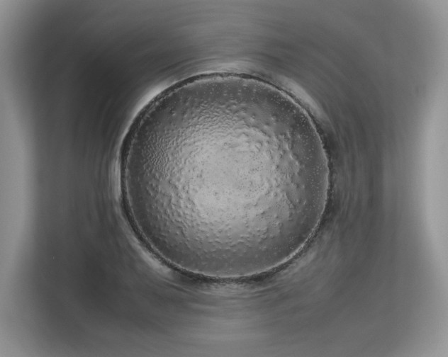 X0000113071079200908281149
