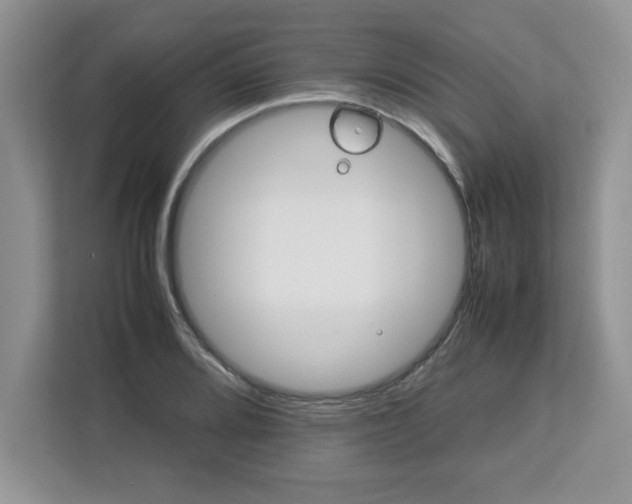 X0000113071080200908281149
