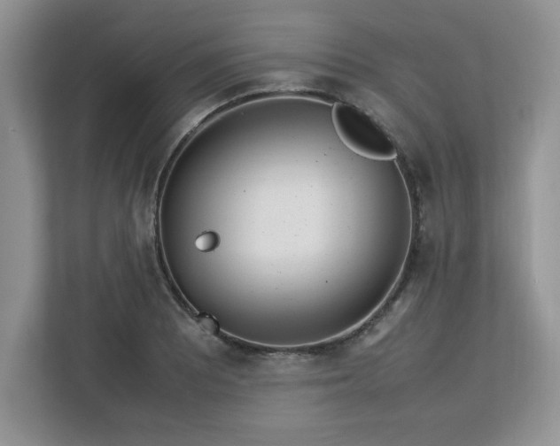 X0000113071081200908281149
