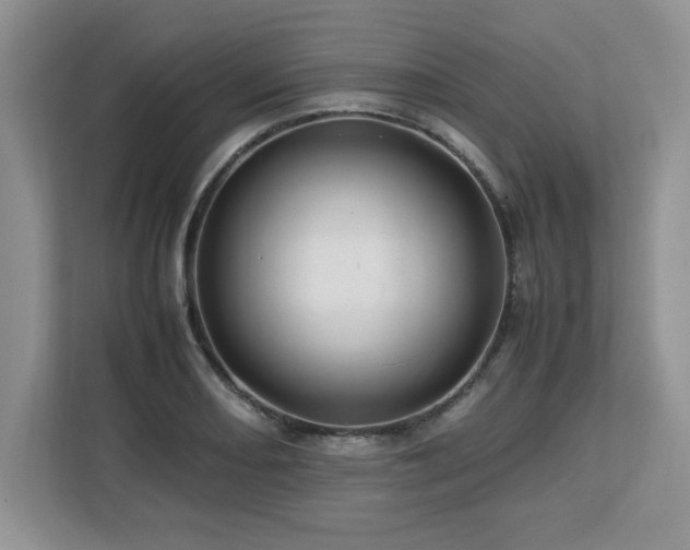 X0000113071082200908281149