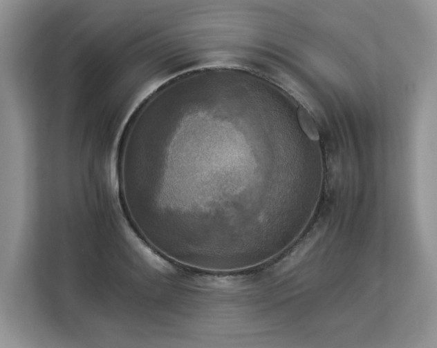 X0000113071084200908281149