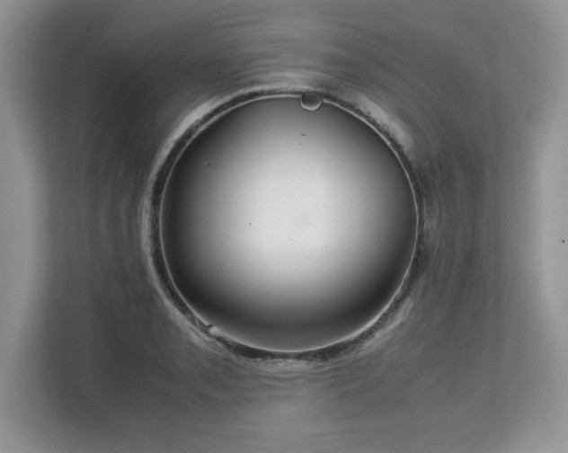 X0000113071085200908281149