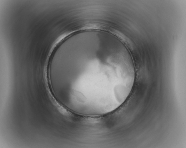 X0000113071086200908281149