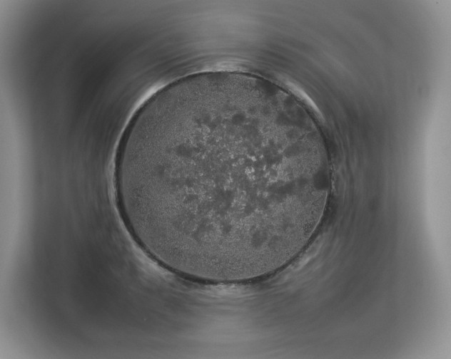 X0000113071087200908281149