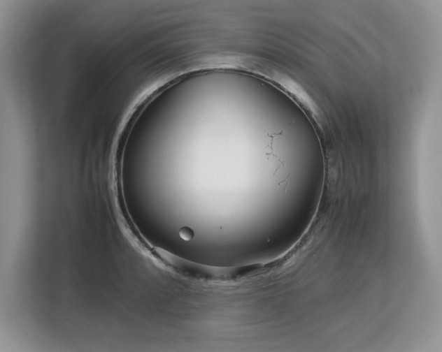 X0000113071088200908281149