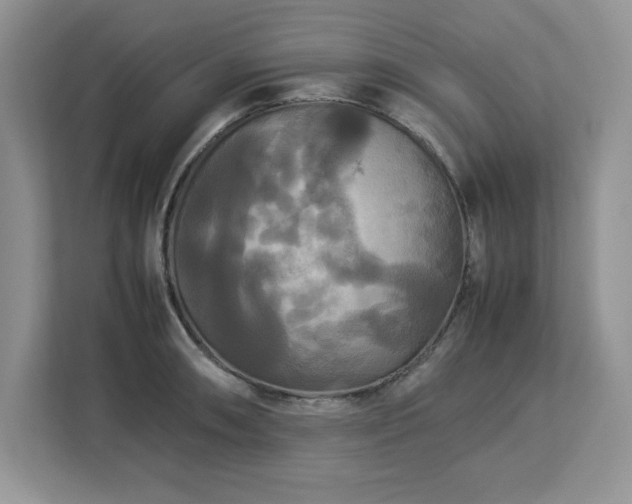 X0000113071090200908281149