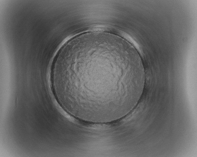 X0000113071091200908281149