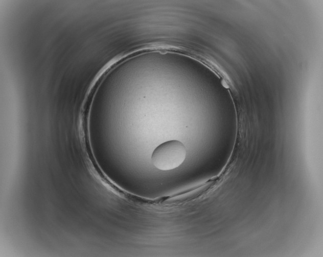 X0000113071092200908281149