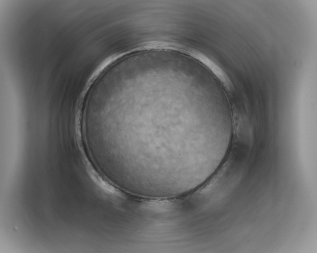 X0000113071094200908281149