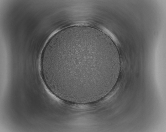 X0000113071095200908281149