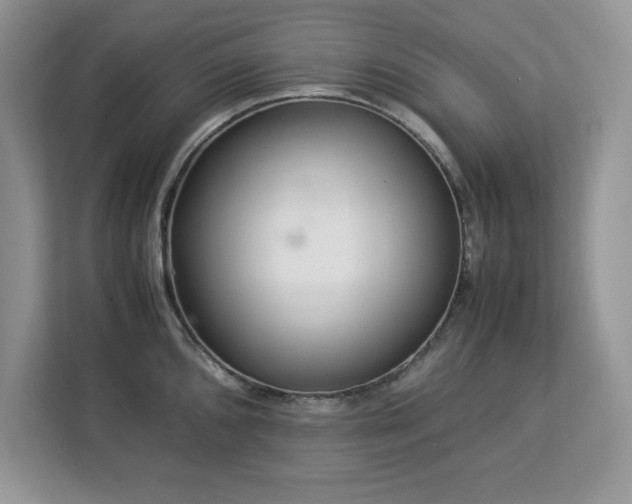 X0000113071096200908281149
