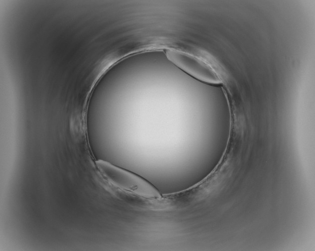 X0000113071097200908281149