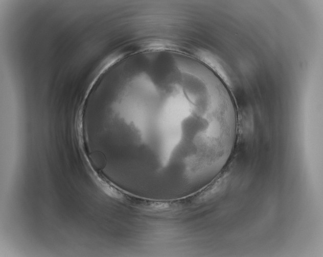 X0000113071098200908281149