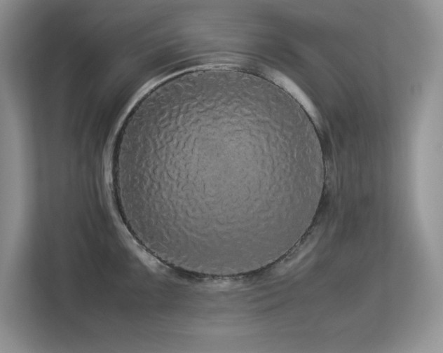 X0000113071099200908281149