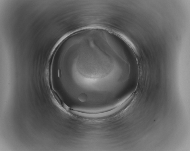 X0000113071100200908281149