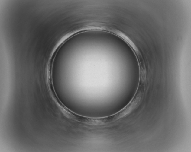 X0000113071101200908281149