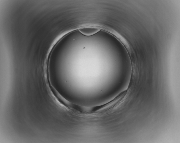 X0000113071102200908281149