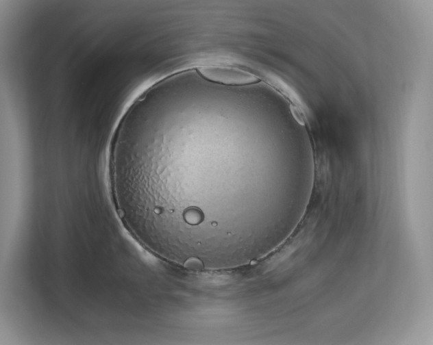 X0000113071103200908281149