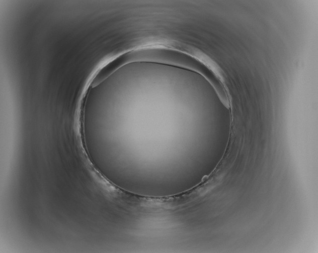 X0000113071104200908281149