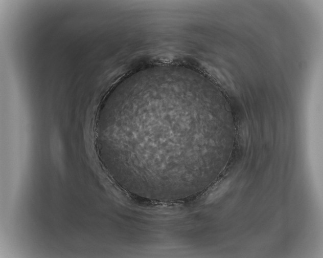 X0000113071105200908281148