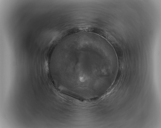 X0000113071106200908281148
