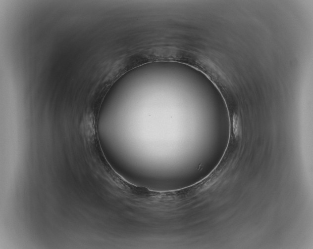 X0000113071107200908281148