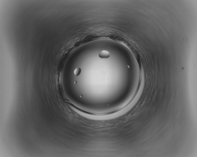 X0000113071108200908281148