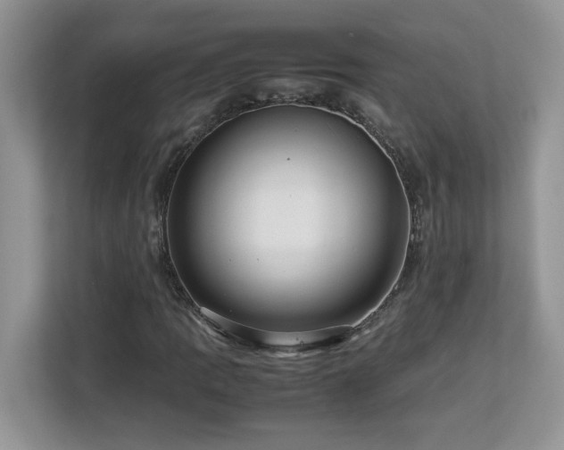 X0000113071109200908281149