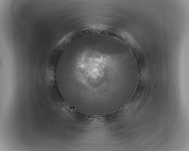 X0000113071110200908281149