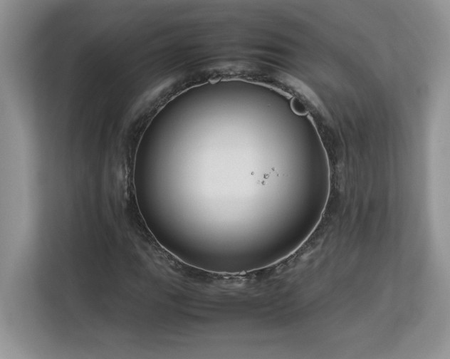 X0000113071111200908281149