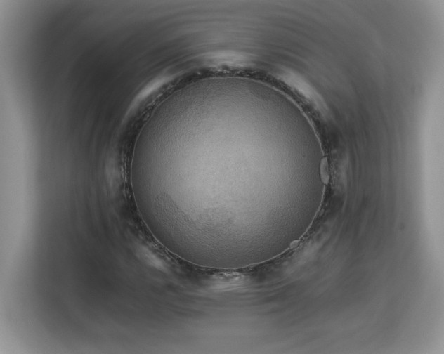 X0000113071112200908281149