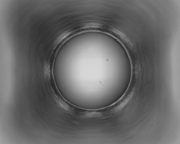 X0000113071113200908281149