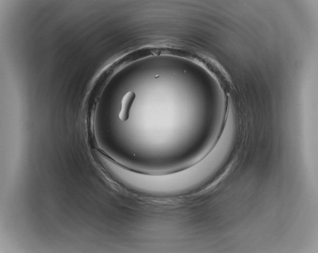 X0000113071114200908281149