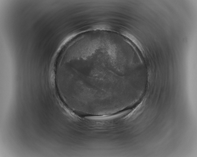 X0000113071115200908281149