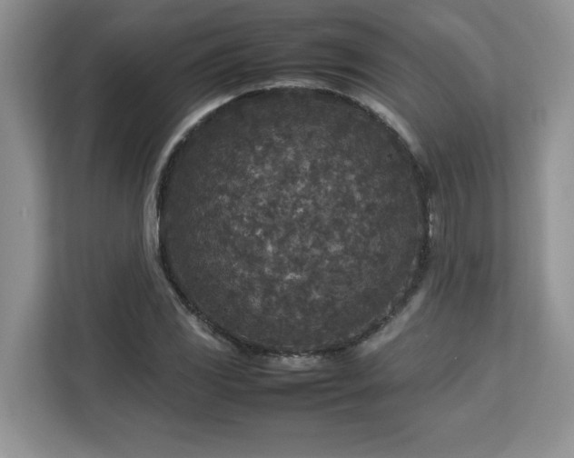 X0000113071117200908281149