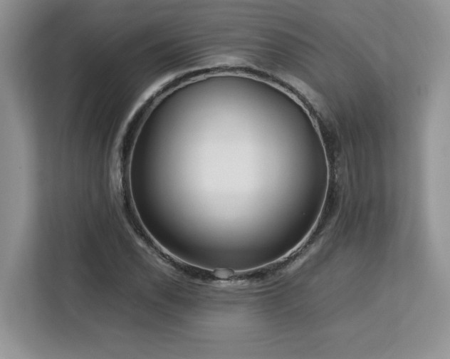X0000113071118200908281149