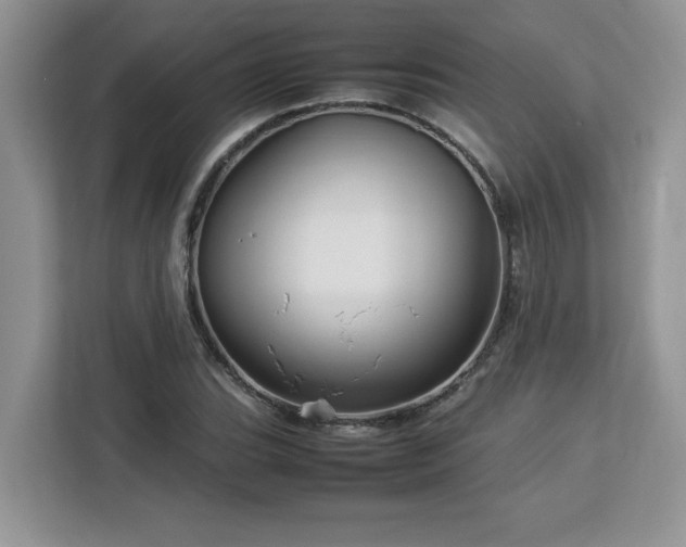 X0000113071119200908281149