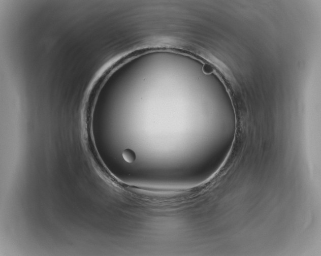 X0000113071120200908281149